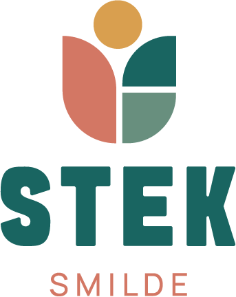 Logo Stek